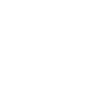insta icon